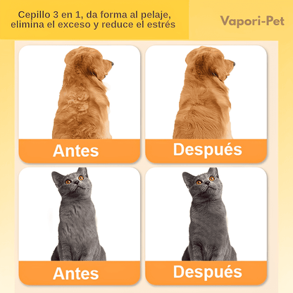Petcare - Cepillo Ortopedico -  Compra 1 y Llévate 2 GRATIS 🎁